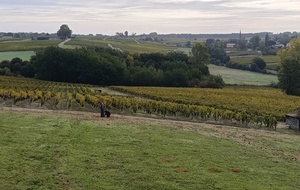 Concours Nature des 17 et 18 octobre : les préparatifs sont lancés au Château La Tour Blanche !