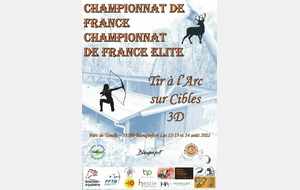 Championnat de France tir 3D