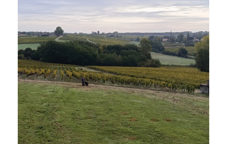 Concours Nature des 17 et 18 octobre : les préparatifs sont lancés au Château La Tour Blanche !