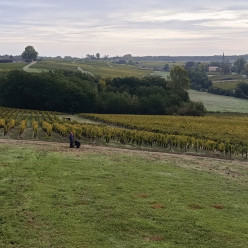 Concours Nature des 17 et 18 octobre : les préparatifs sont lancés au Château La Tour Blanche !